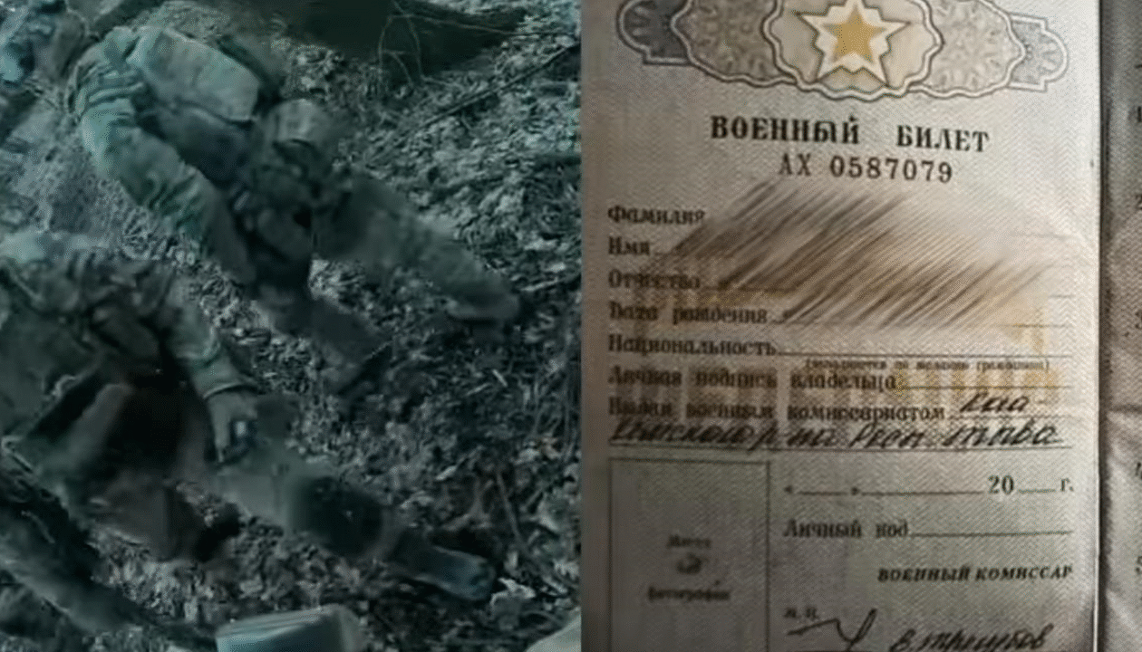 ССО знищили взвод корейців на Курщині