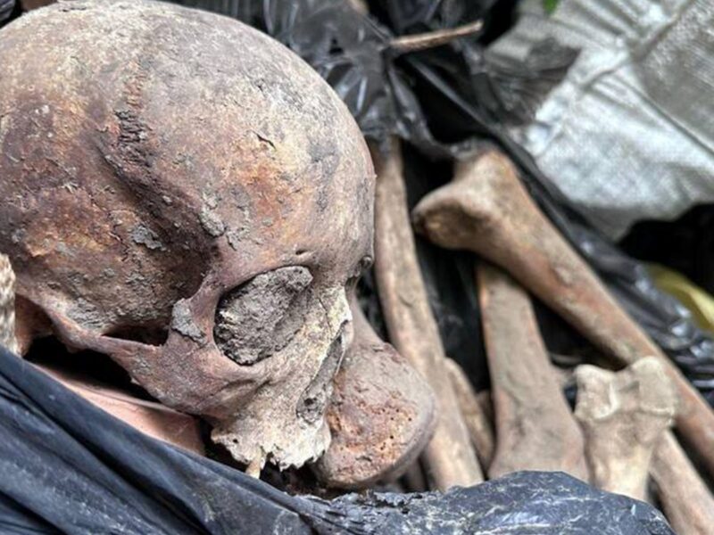 СюжетСкандал у Києві: знайдено 10 тон людських кісток