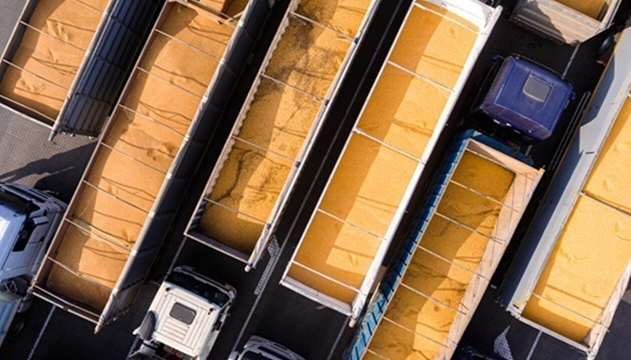 Зерновий експорт впав майже на 11 млн тонн