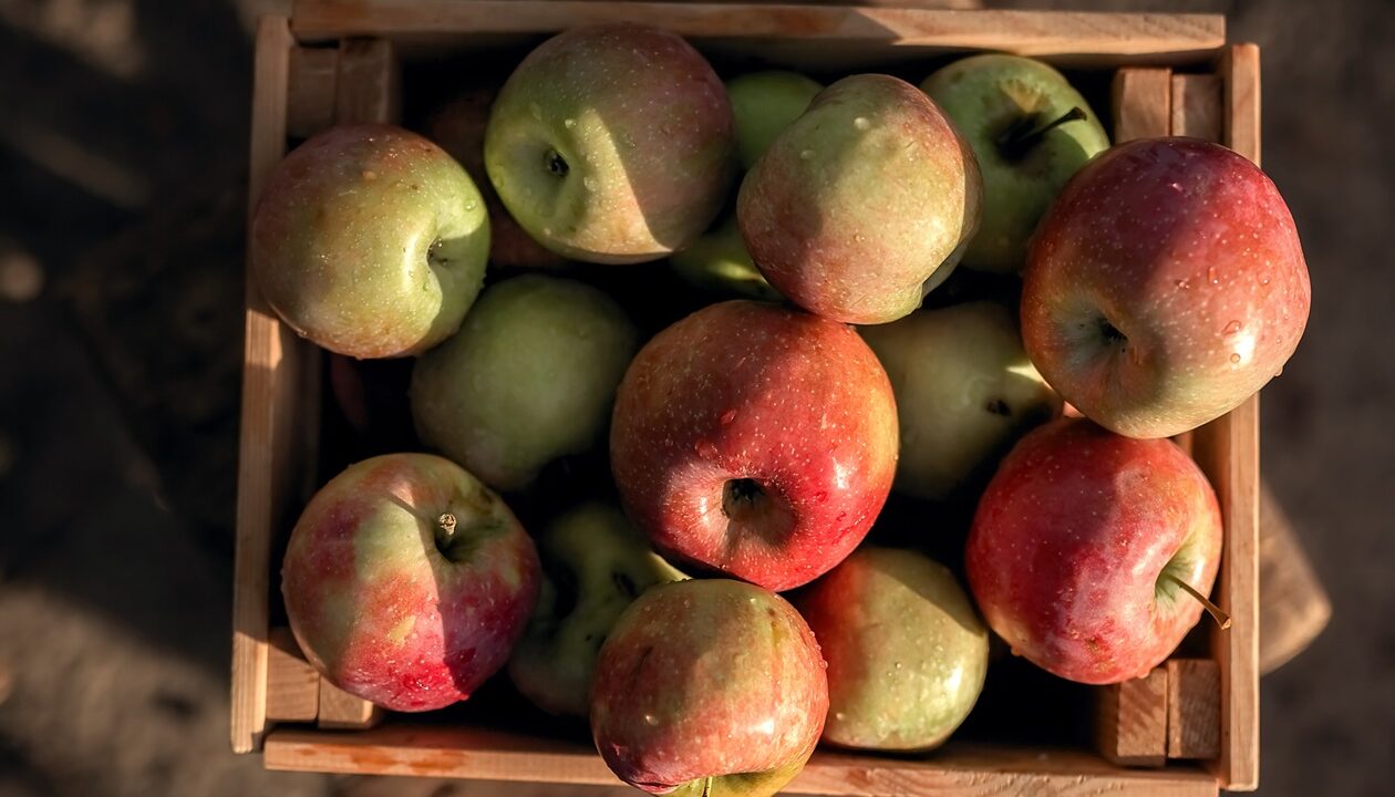 В Україні спрогнозували подальше зростання цін на яблука