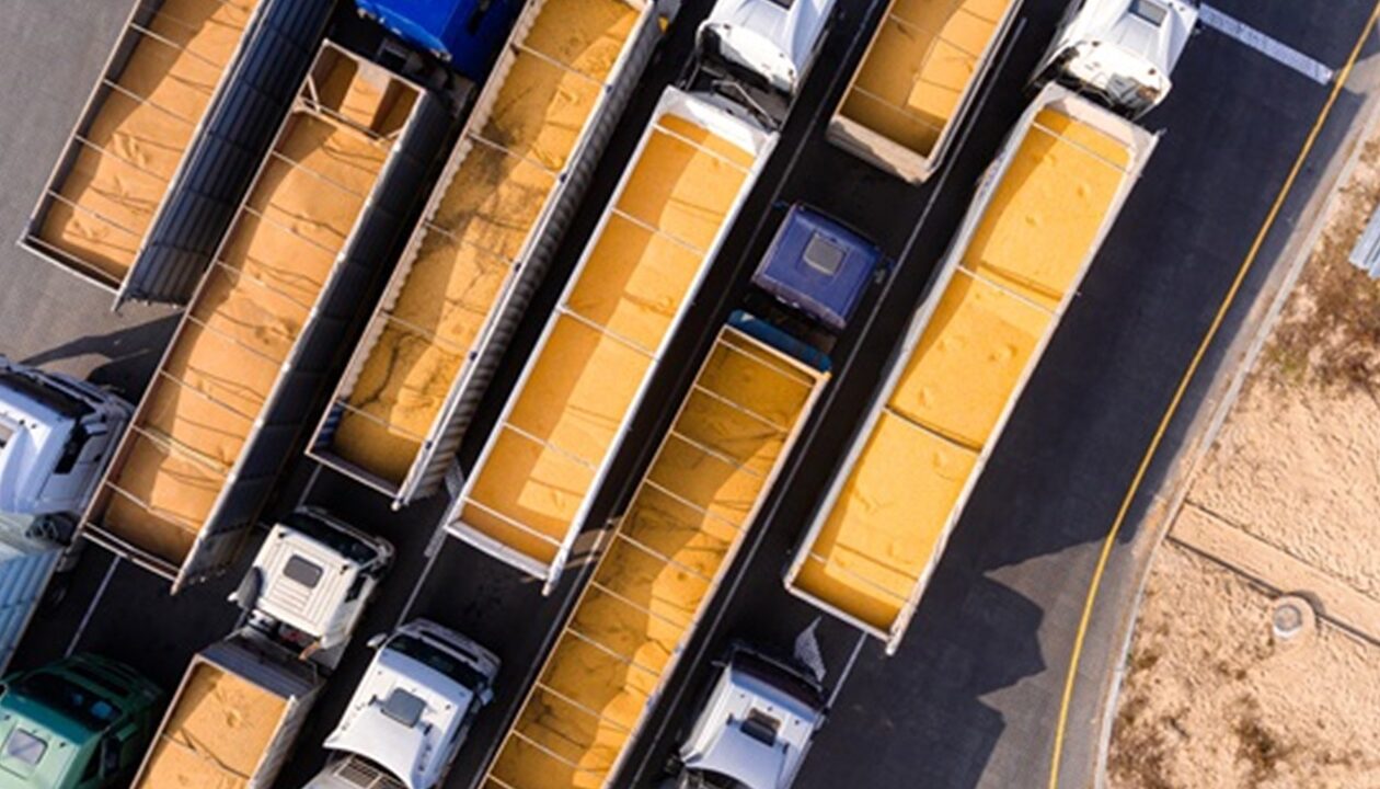 Україна різко знизила темпи експорту зерна