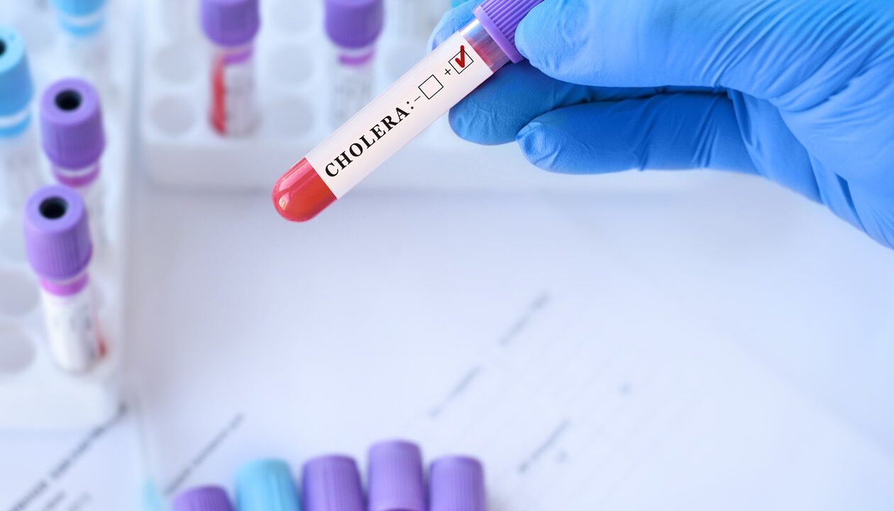 У Польщі перший випадок холери за шість років