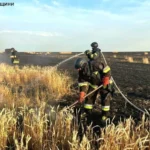 На Харківщині після удару РФ загорілося пшеничне поле: вогонь охопив 60 гектарів