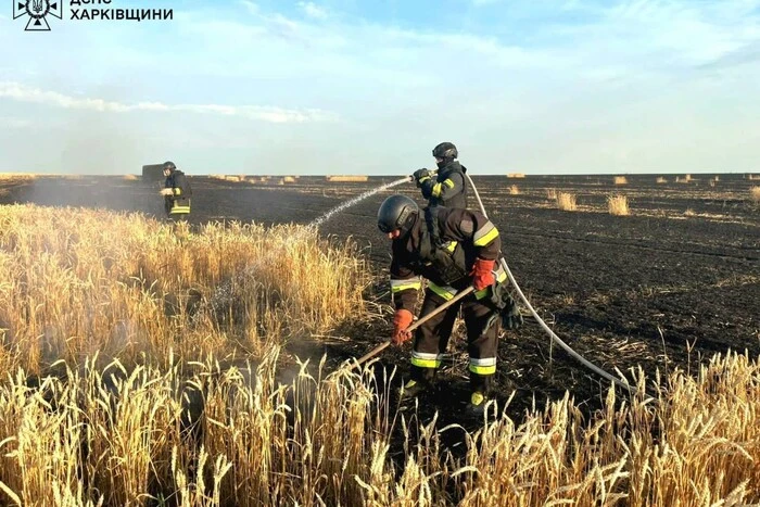 На Харківщині після удару РФ загорілося пшеничне поле: вогонь охопив 60 гектарів