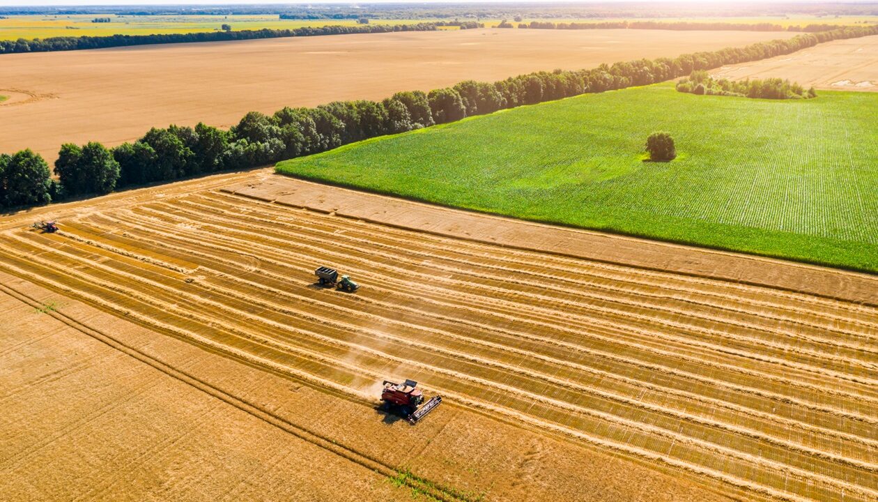 В Україні зібрали понад 10 млн тонн зерна нового врожаю