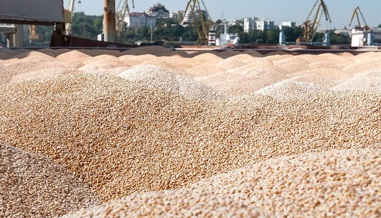Україна продала мільйон тонн пшениці нового врожаю