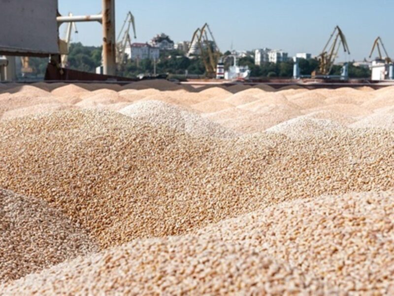 Україна продала мільйон тонн пшениці нового врожаю
