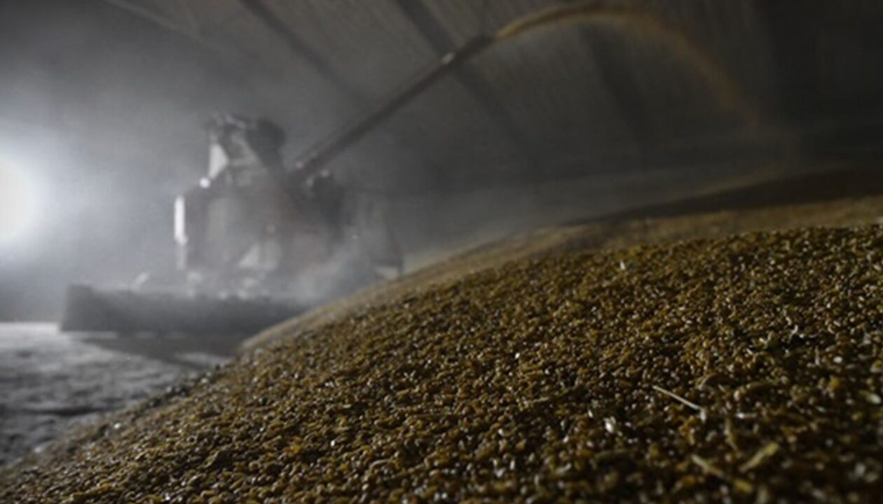 Росія втрачає позиції найбільшого агроекспортера - розвідка