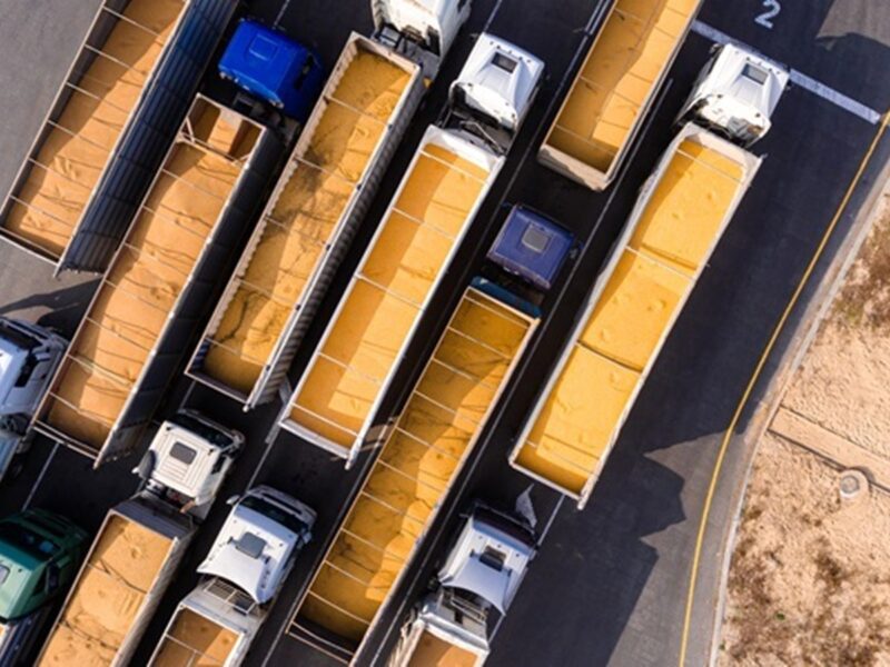 Україна експортувала понад п'ять мільйонів тонн зернових