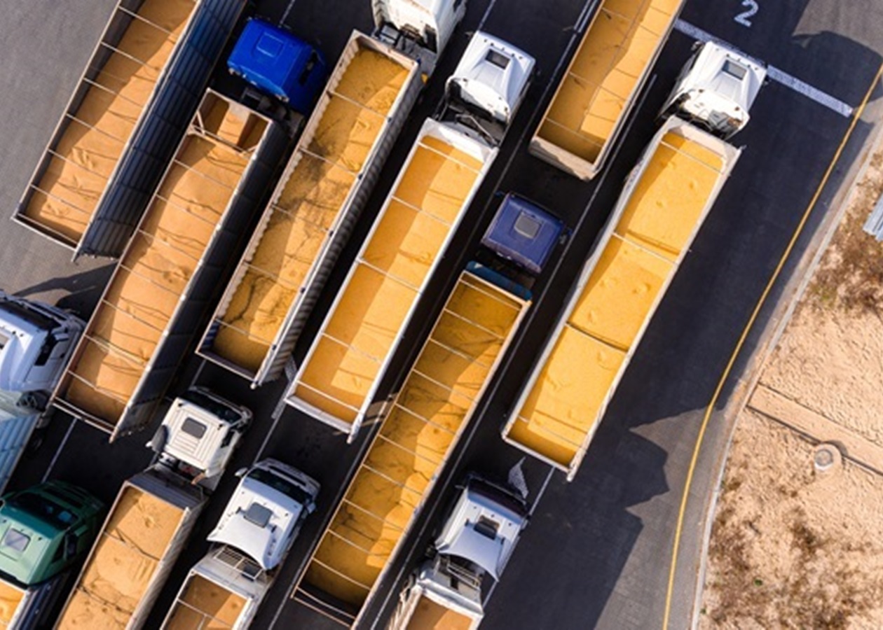 Україна експортувала понад п'ять мільйонів тонн зернових