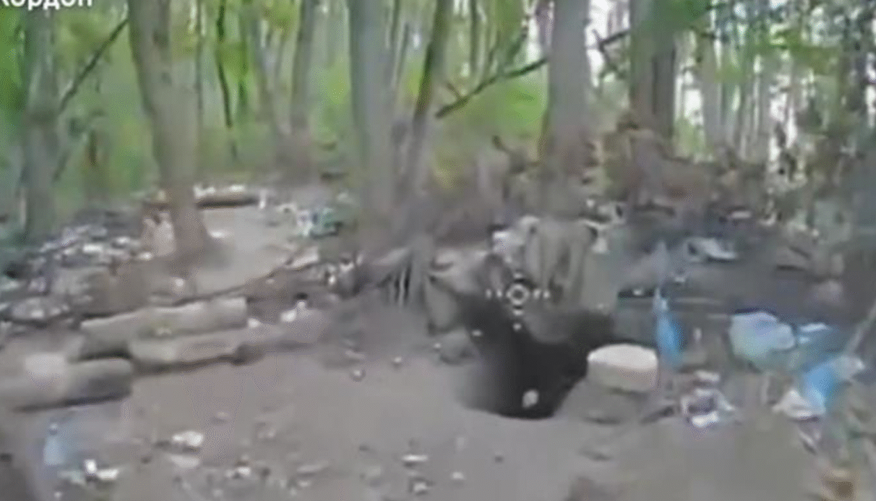 Прикордонники показали знищення росіян на Курському напрямку