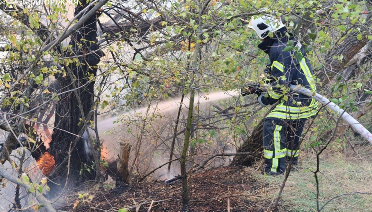 Рятувальники другу добу гасять пожежу на Хортиці