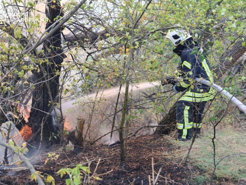Рятувальники другу добу гасять пожежу на Хортиці