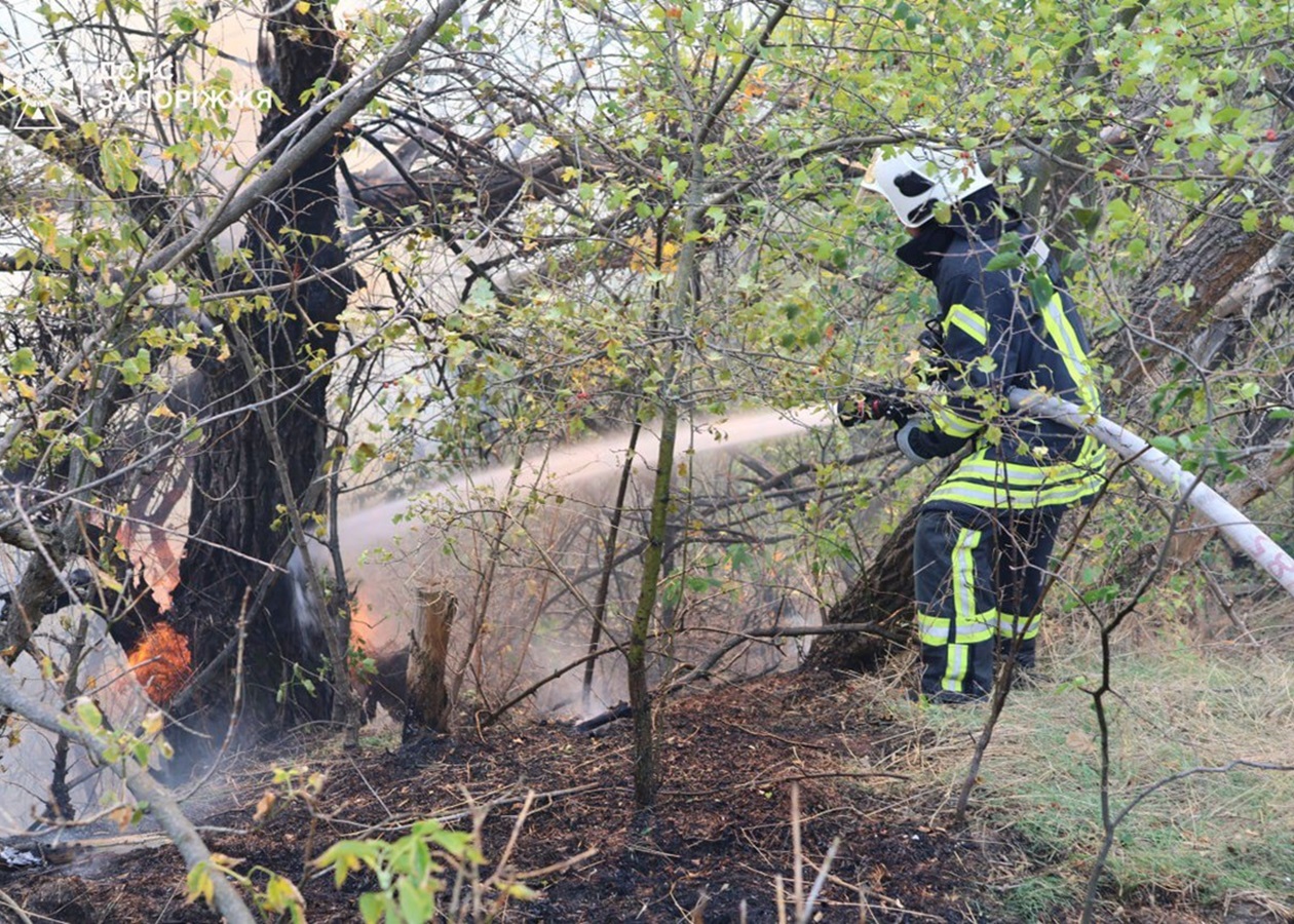 Рятувальники другу добу гасять пожежу на Хортиці