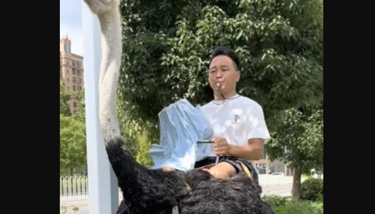 У Китаї чоловік понад 10 років їздить на страусі замість авто