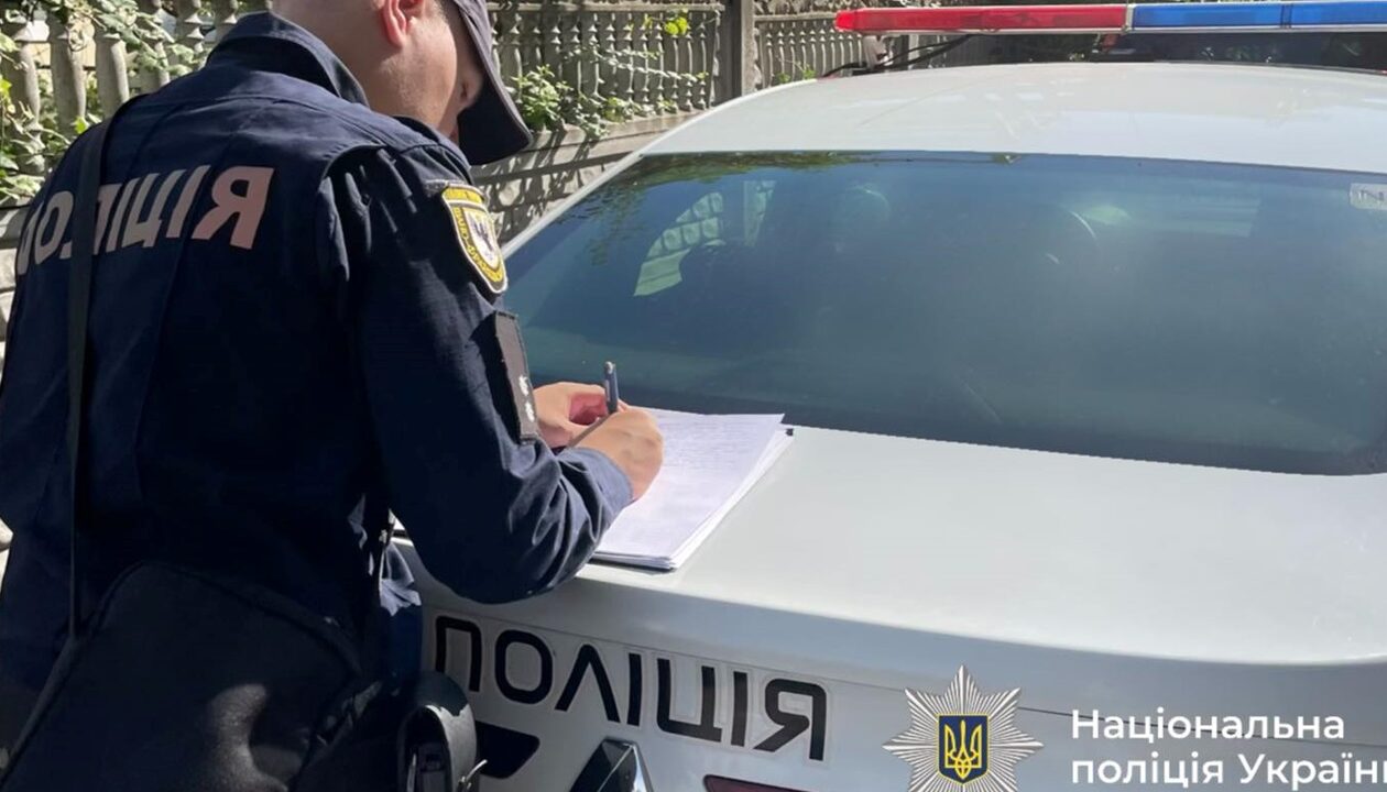 На Прикарпатті водій авто в’їхав в отару овець, загинули 28 тварин