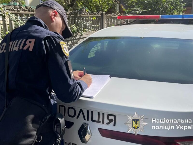 На Прикарпатті водій авто в’їхав в отару овець, загинули 28 тварин