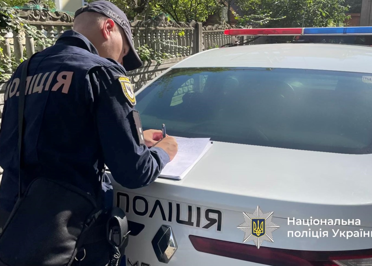 На Прикарпатті водій авто в’їхав в отару овець, загинули 28 тварин