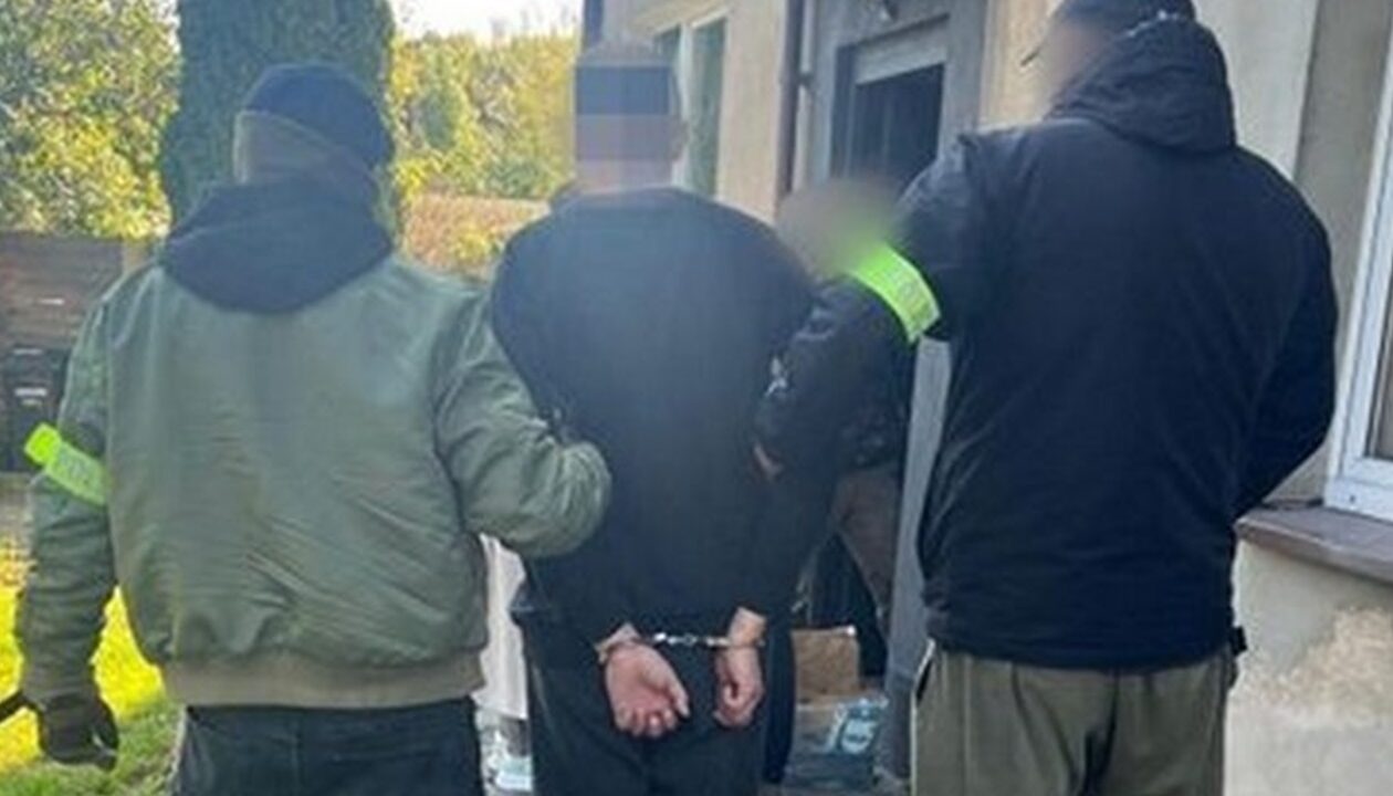 У Польщі затримали палія автівок з українськими номерами