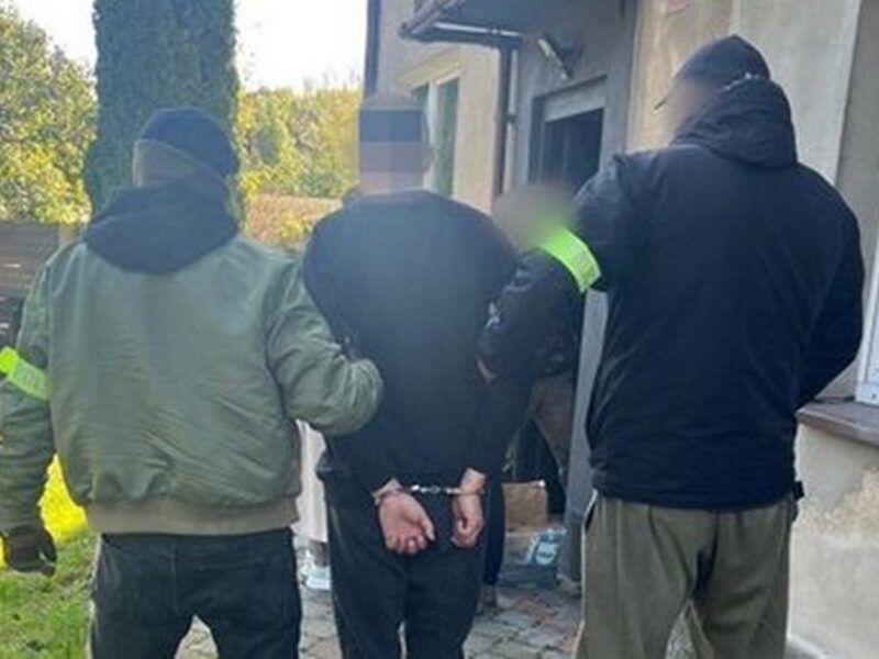 У Польщі затримали палія автівок з українськими номерами