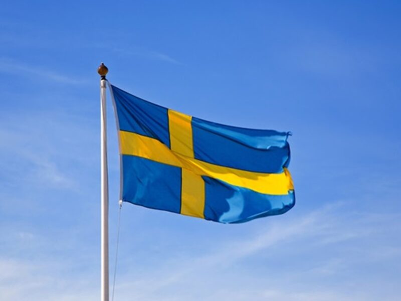 Швеція надасть Україні додаткові €35 млн зимової підтримки