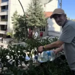 Турок перетворив 8-метрову терасу на город із 200 рослинами, щоб боротися зі стресом