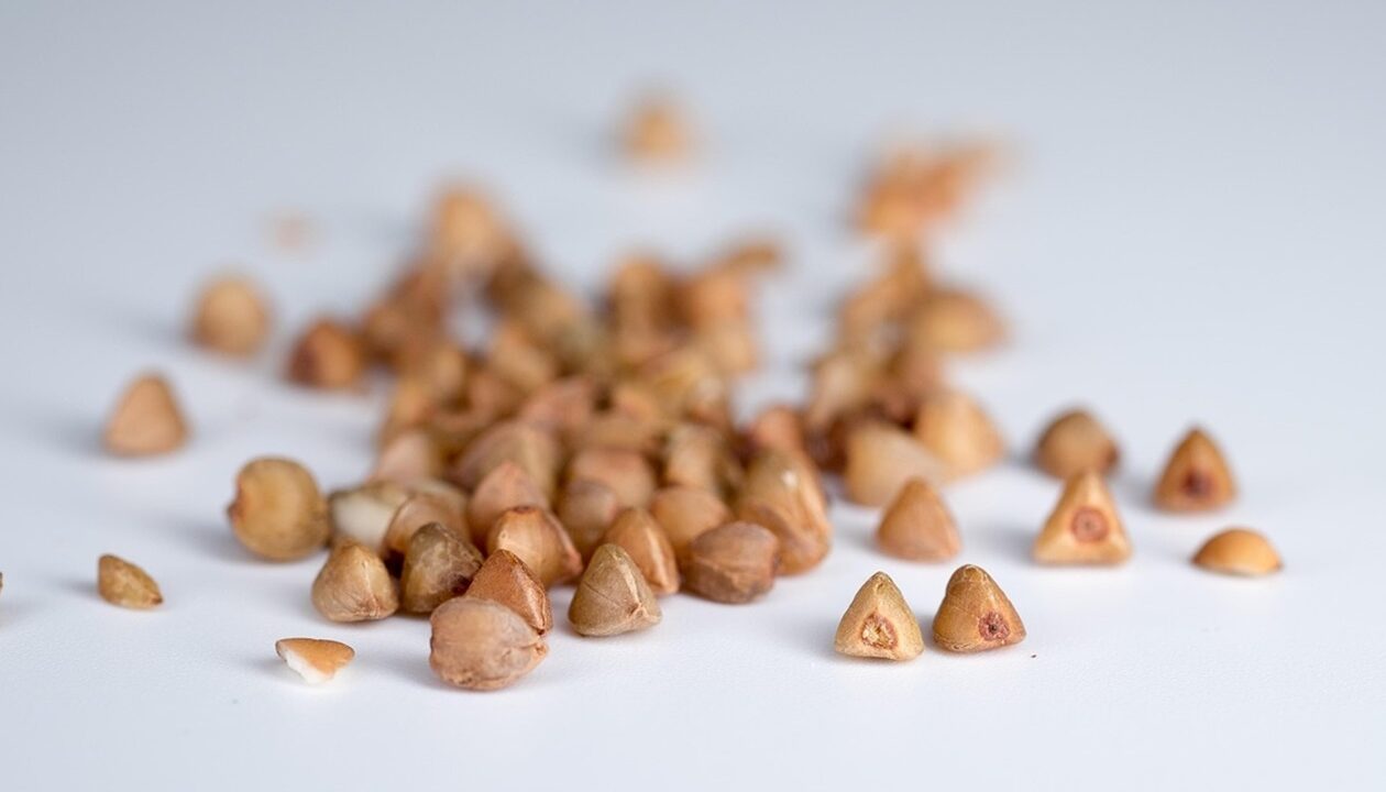 Україна скоротила виробництво гречки на 15%