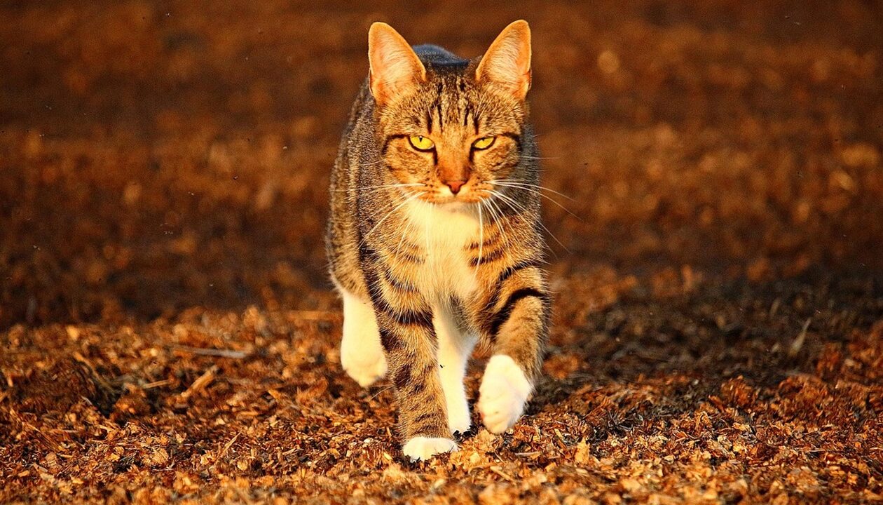 Гороскоп для всіх знаків зодіаку на 7 листопада 2025 року