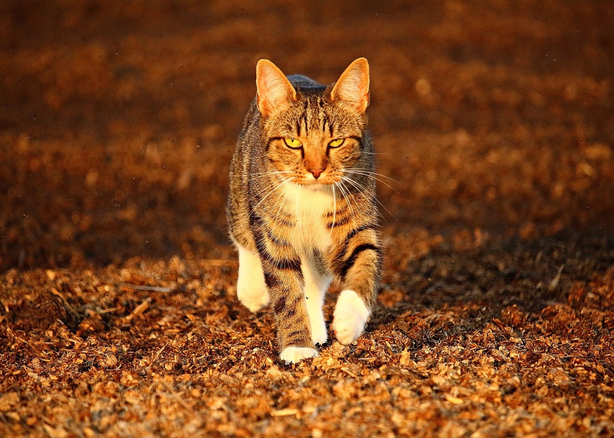 Гороскоп для всіх знаків зодіаку на 7 листопада 2025 року