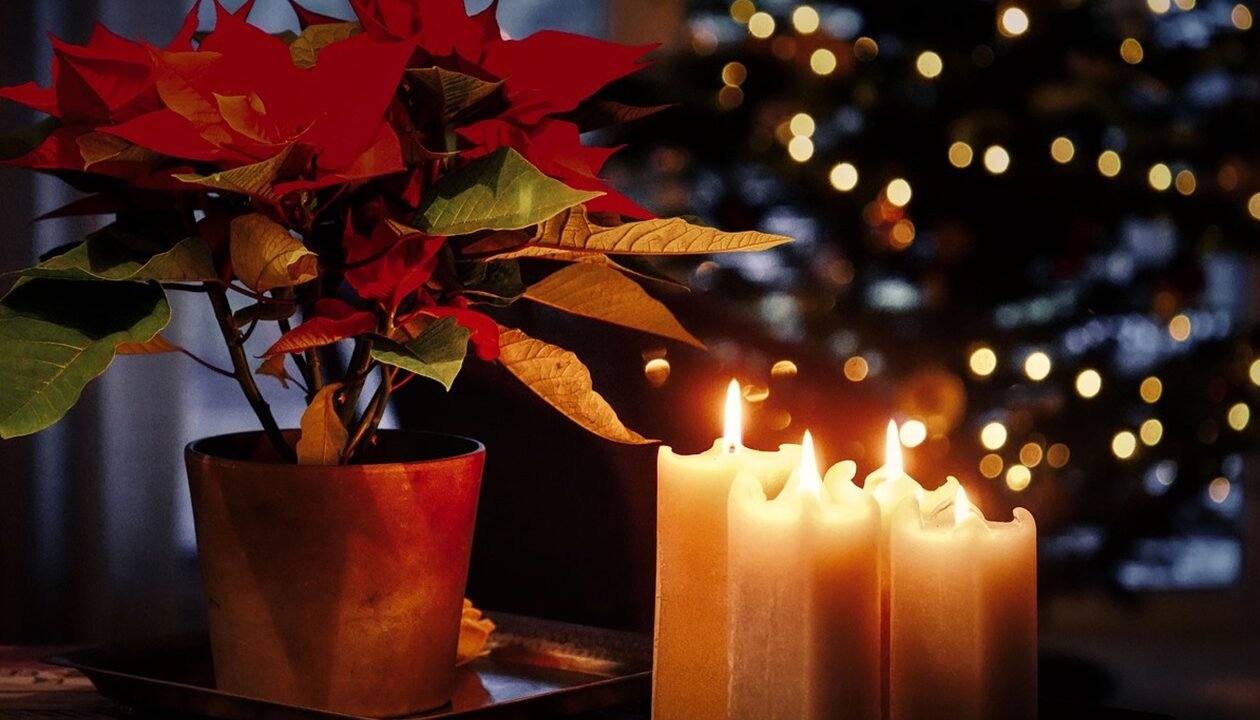 Гороскоп для всіх знаків зодіаку на 3 грудня 2025 року