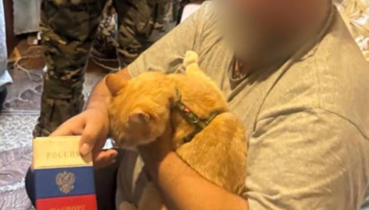 Екс-артисту цирку оголосили вирок за передачу Росії даних про ЗСУ в Харкові