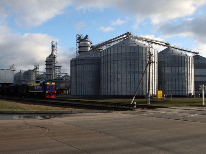 В Україні зібрали майже 60 млн тонн зерна