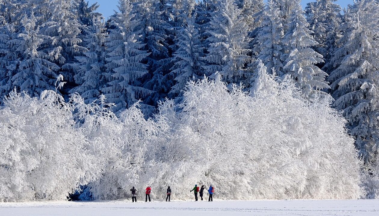 Гороскоп для всіх знаків зодіаку на вихідні 10-11 січня 2026 року
