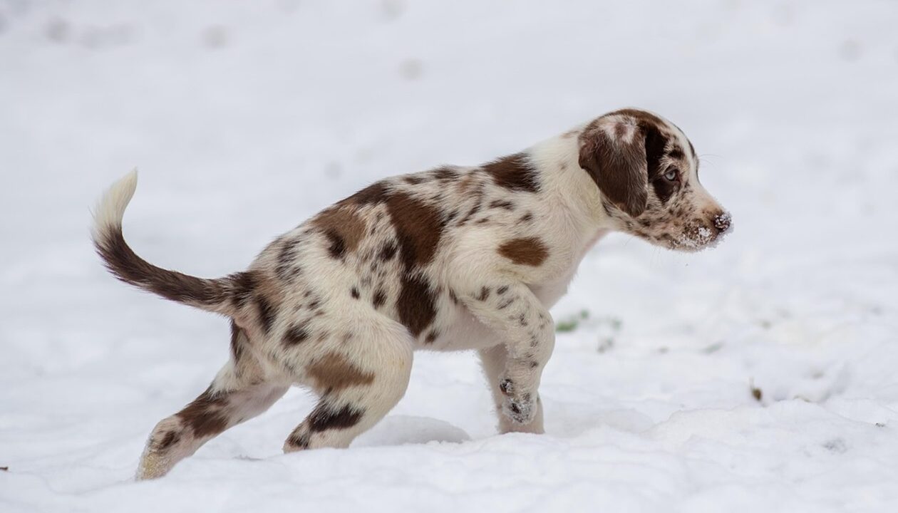 Гороскоп для всіх знаків зодіаку на 14 січня 2026 року