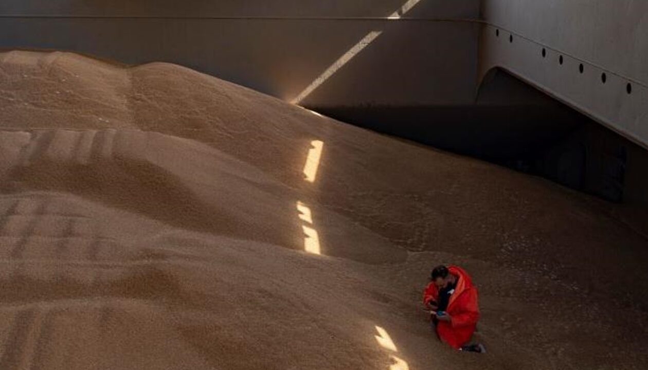 Польща пожалілася в Раду ЄС на агроімпорт з України - ЗМІ