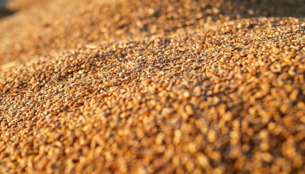 Україна скоротила експорт агропродукції у січні