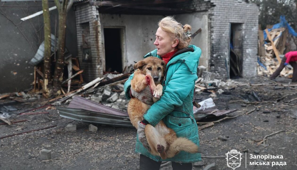 Росіяни вдарили по собачому притулку у Запоріжжі