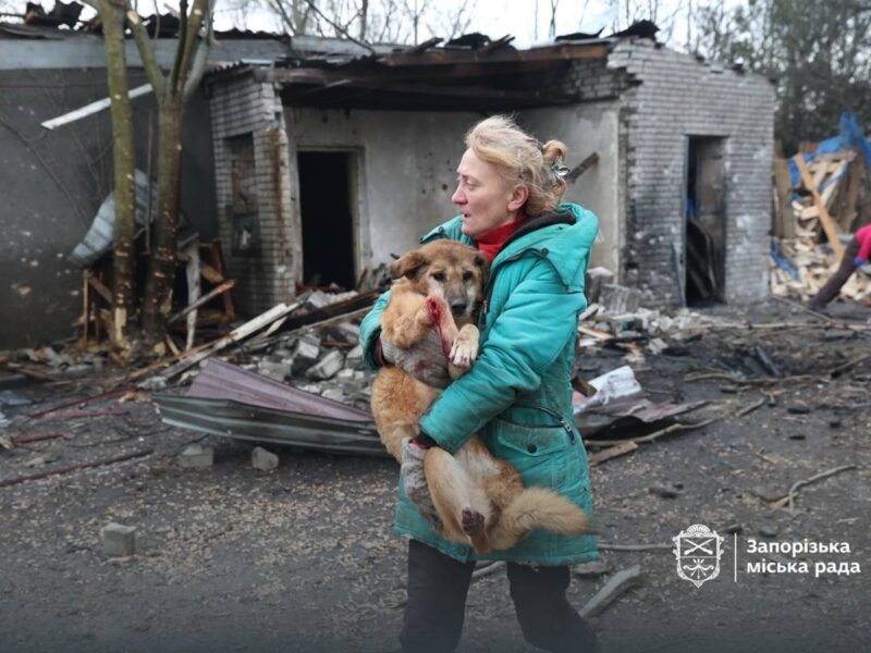 Росіяни вдарили по собачому притулку у Запоріжжі