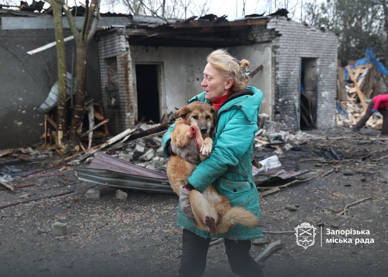 Росіяни вдарили по собачому притулку у Запоріжжі