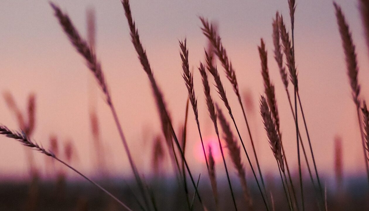 Гороскоп для всіх знаків зодіаку на 24 лютого 2026 року