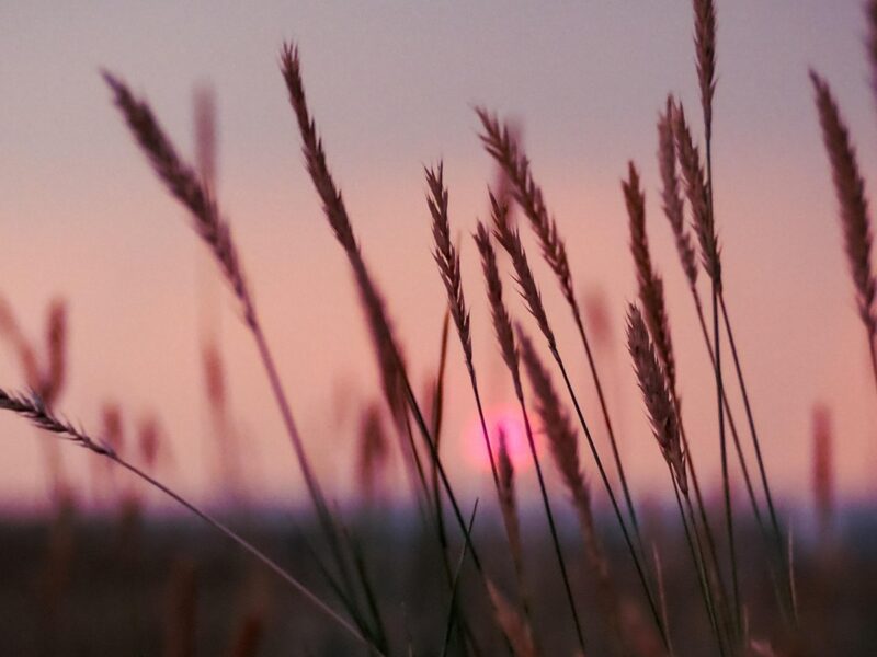 Гороскоп для всіх знаків зодіаку на 24 лютого 2026 року