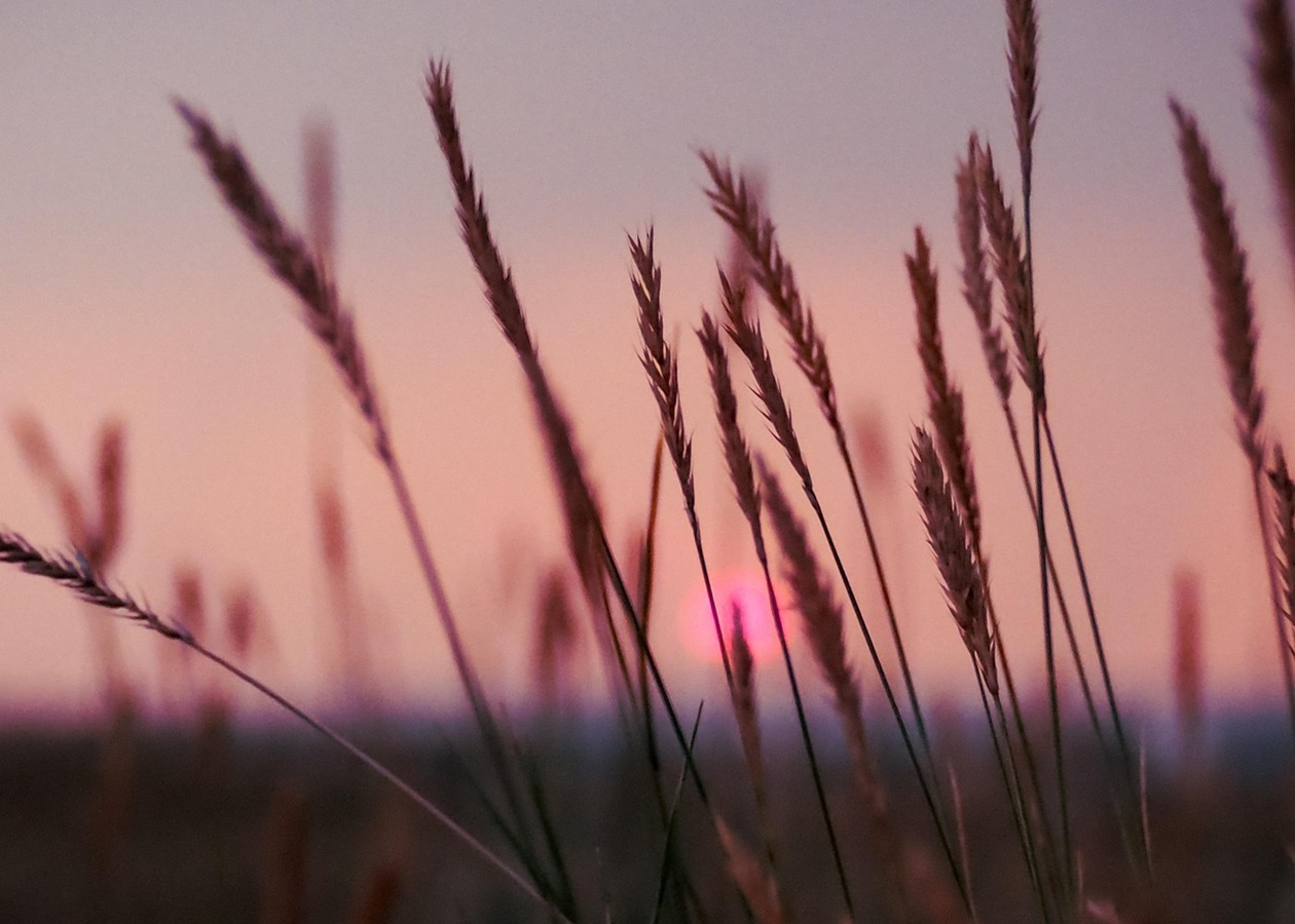 Гороскоп для всіх знаків зодіаку на 24 лютого 2026 року