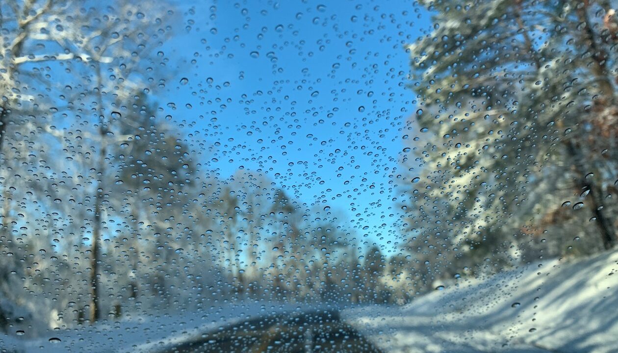 Сніг, дощ і ожеледиця: синоптики про погоду в Україні