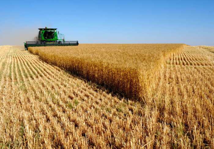 Грабунок під виглядом “націоналізації”: як окупанти нищать фермерство Запоріжжя