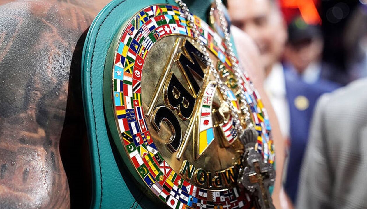 WBC розкрив причини присвоєння титульного статусу поєдинку Усик - Верховен