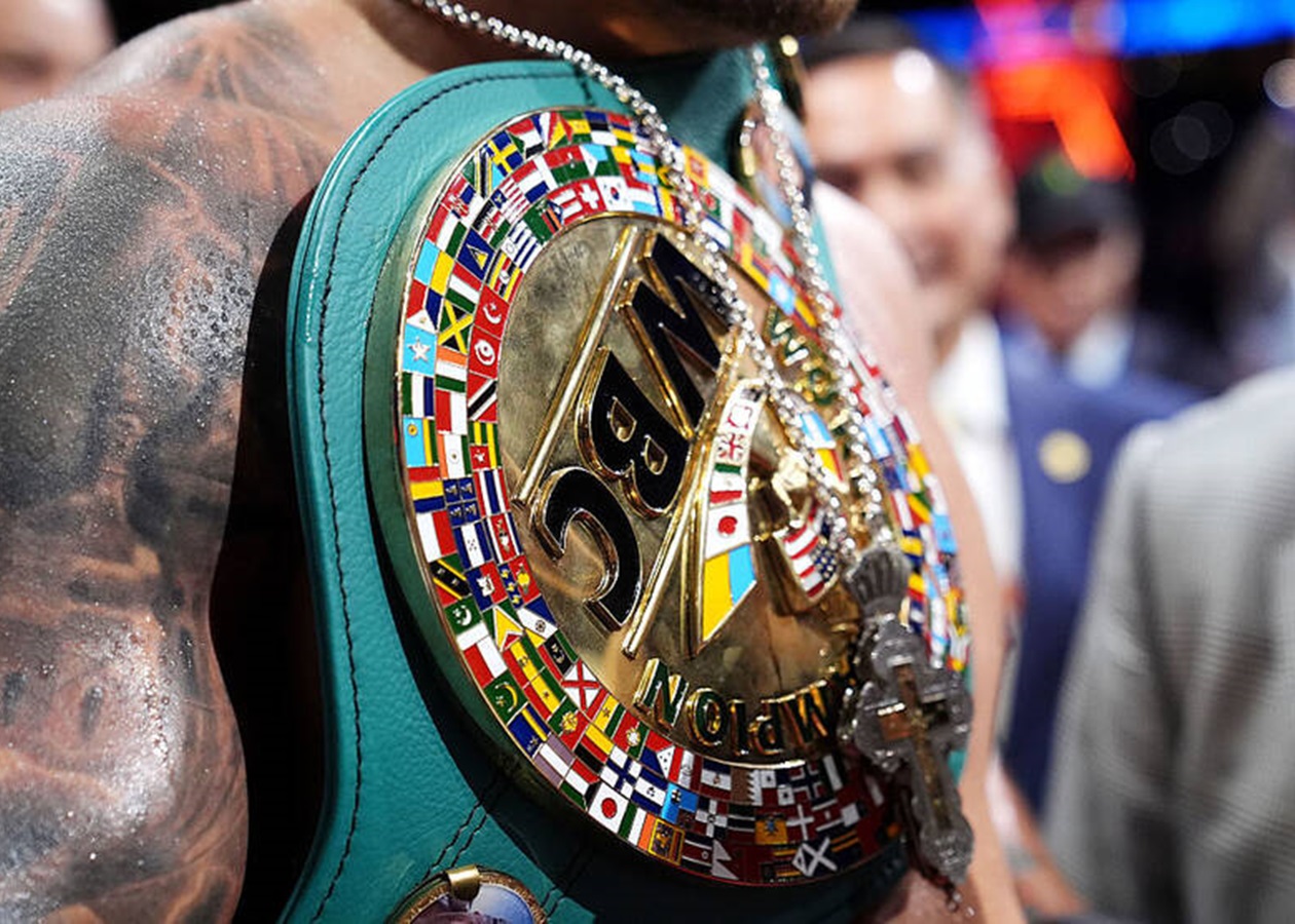 WBC розкрив причини присвоєння титульного статусу поєдинку Усик - Верховен
