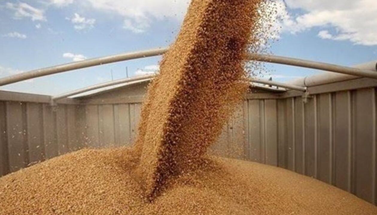 У березні експорт агропродукції зріс на 10,8%