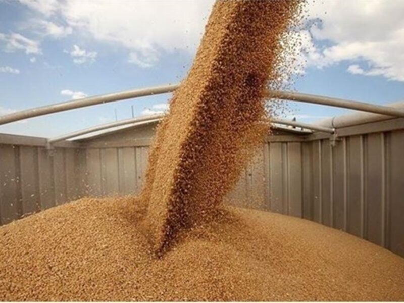 У березні експорт агропродукції зріс на 10,8%