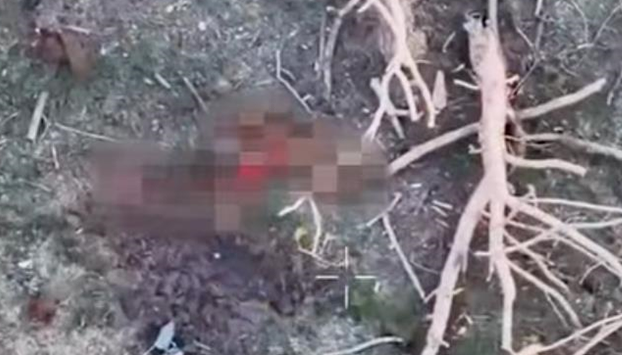 Військові показали знищення окупантів на Сумщині