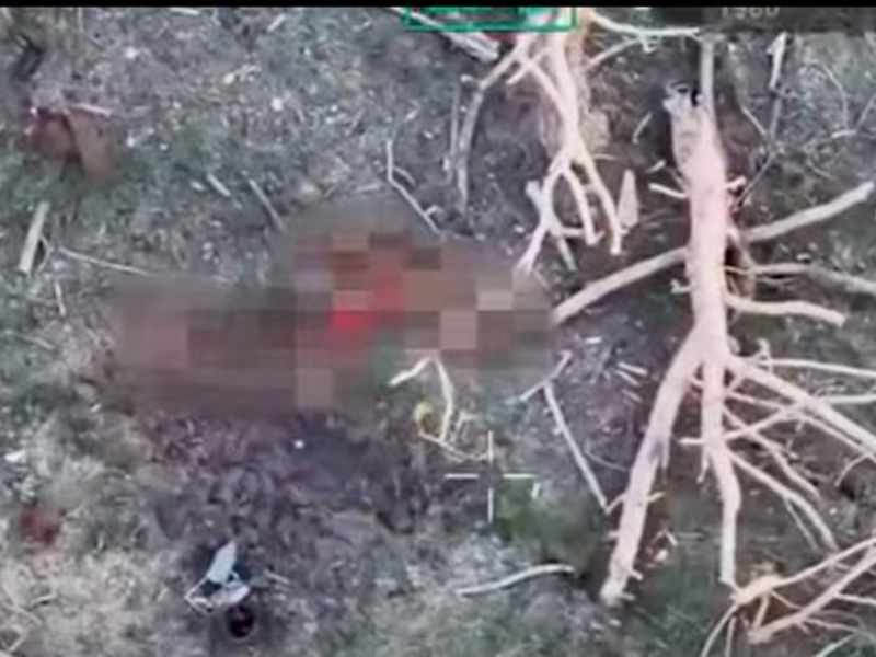 Військові показали знищення окупантів на Сумщині